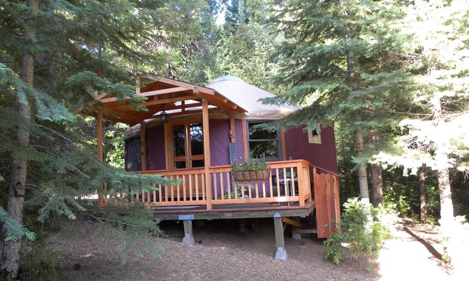 Cedar Ridge Cabina | Yurt en un hermoso rancho de Alpaca