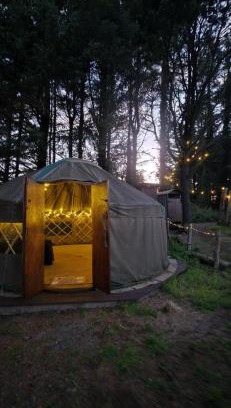 Haverfordwest Otro | Yurt Pitch - TY GRUG RETREAT