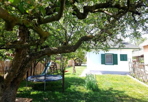 Bekesszentandras Casa | Zöld Orom Vendégház