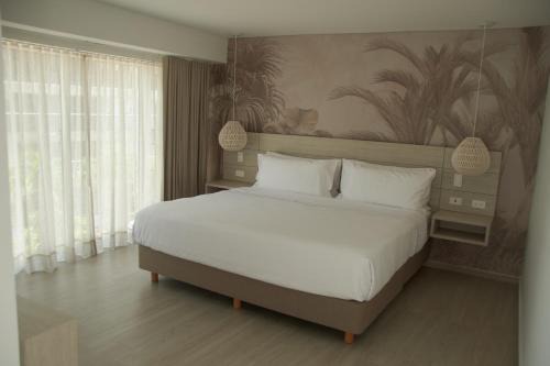 Punta Hansa Hotel | Zafi Hotel