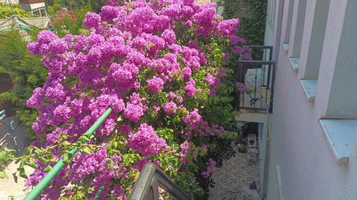Sutomore Apartamento | Zagradge IN Apartments