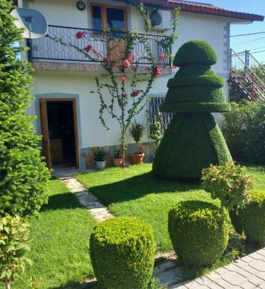 Shkoder Casa | Zekajs Home