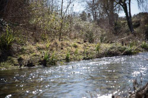 Ladern-sur-Lauquet Casa | Zen Experience including Yoga & Healthy food