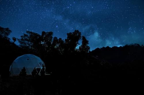 Glendale Casa | Zen Zion Evergreen Dome
