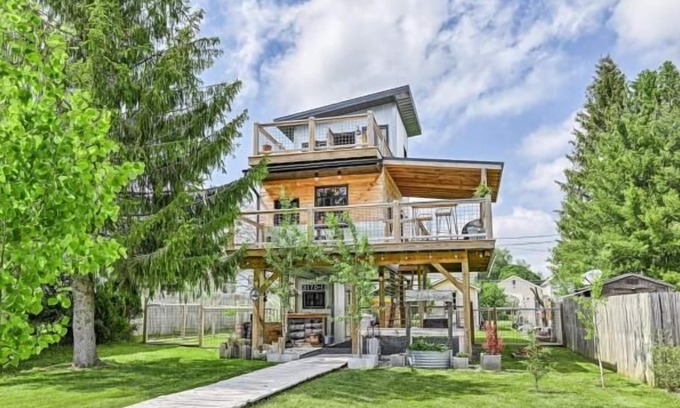 Canaan Valley Casa | Zen2- Adorable Tiny Home in Davis! Pet Friendly! A/C