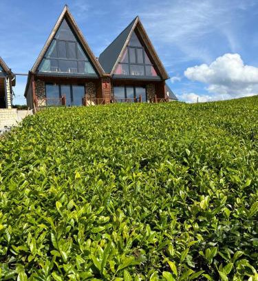 Ayder Hotel | zenimos bungalov