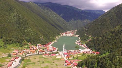 Uzungol Apartamento | Zeren Apart Bungalov