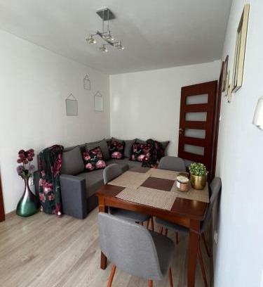 Zgierz Apartamento | Zgierz Parzęczewska District