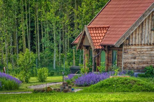 Ryn Casa | Zielone Ławki