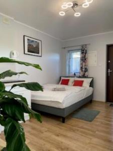 Uniejow Casa | Zielone Tarasy