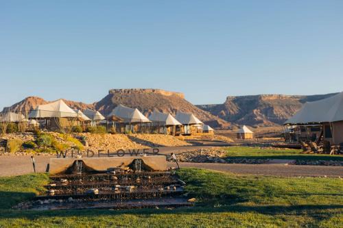 Virgin Otro | Zion Wildflower Resort