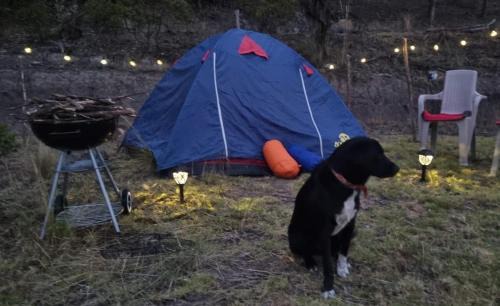 Mongui Otro | Zonas Camping NaturaLove