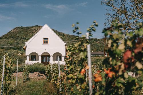 Hegymagas Casa | Zsálya Présház
