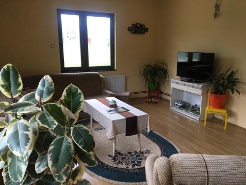 Bajina Basta Apartamento | Zvezdica
