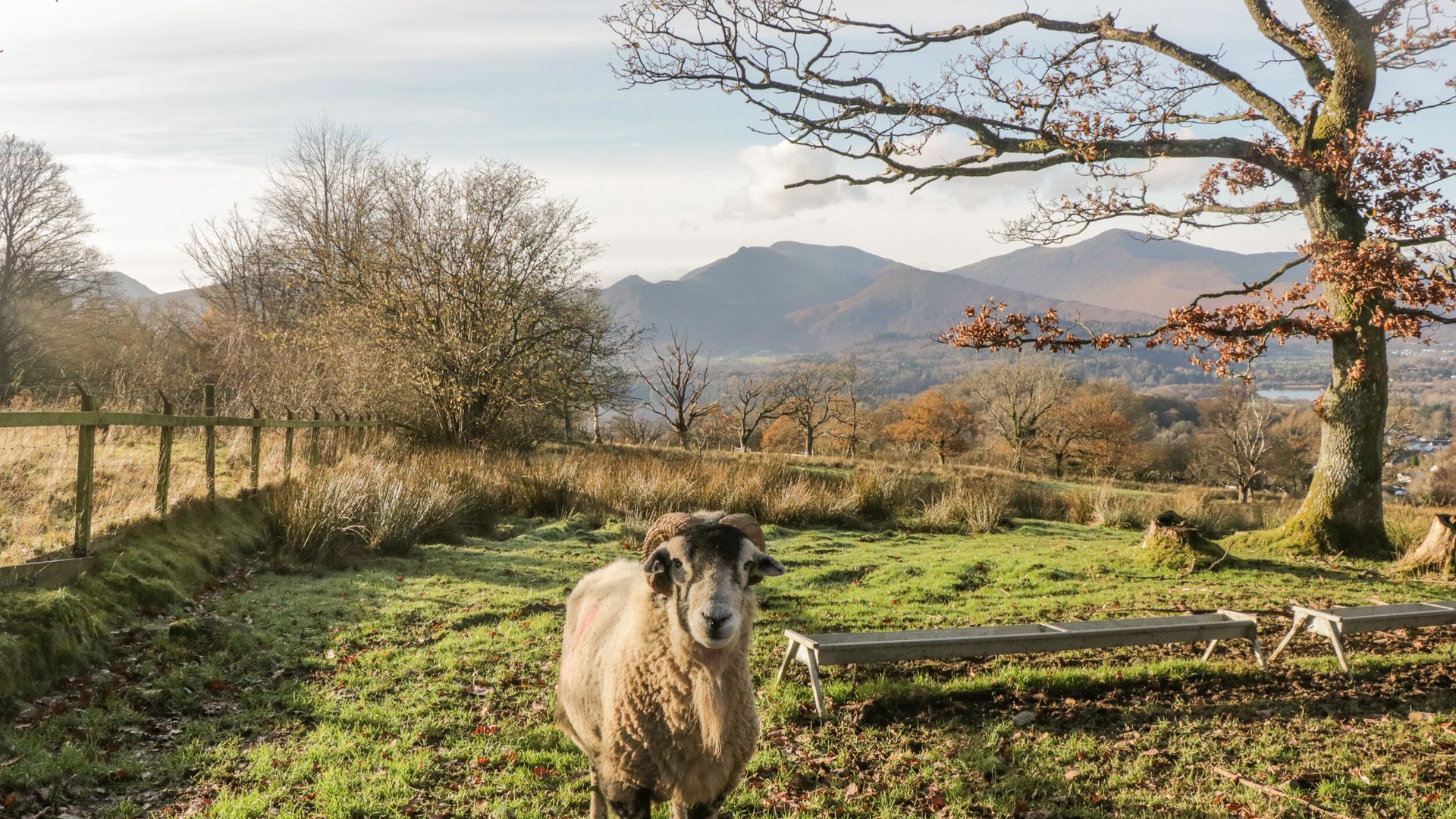 foto de Otras en Dalton-in-Furness