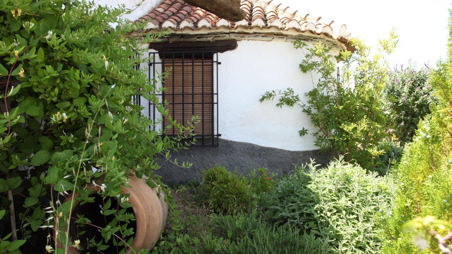 foto de Exterior en La Calahorra