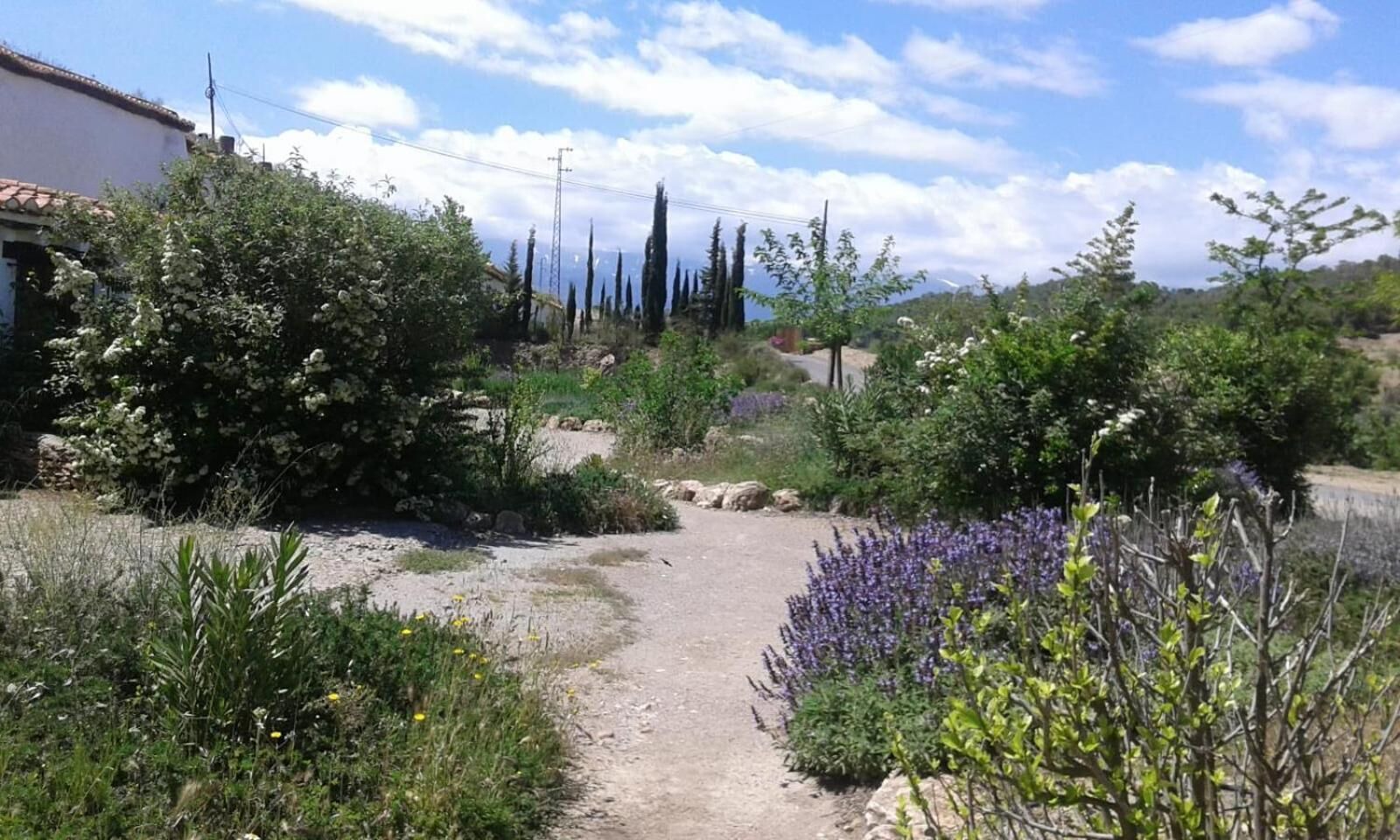 foto de Exterior en La Calahorra