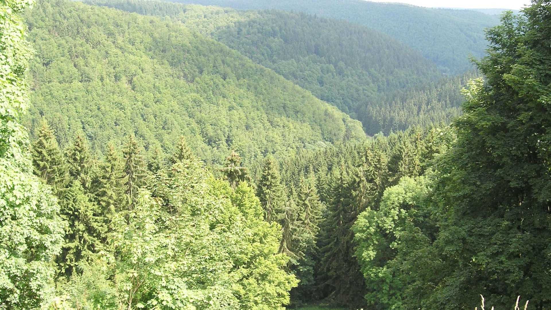 foto de Otras en Frauenwald