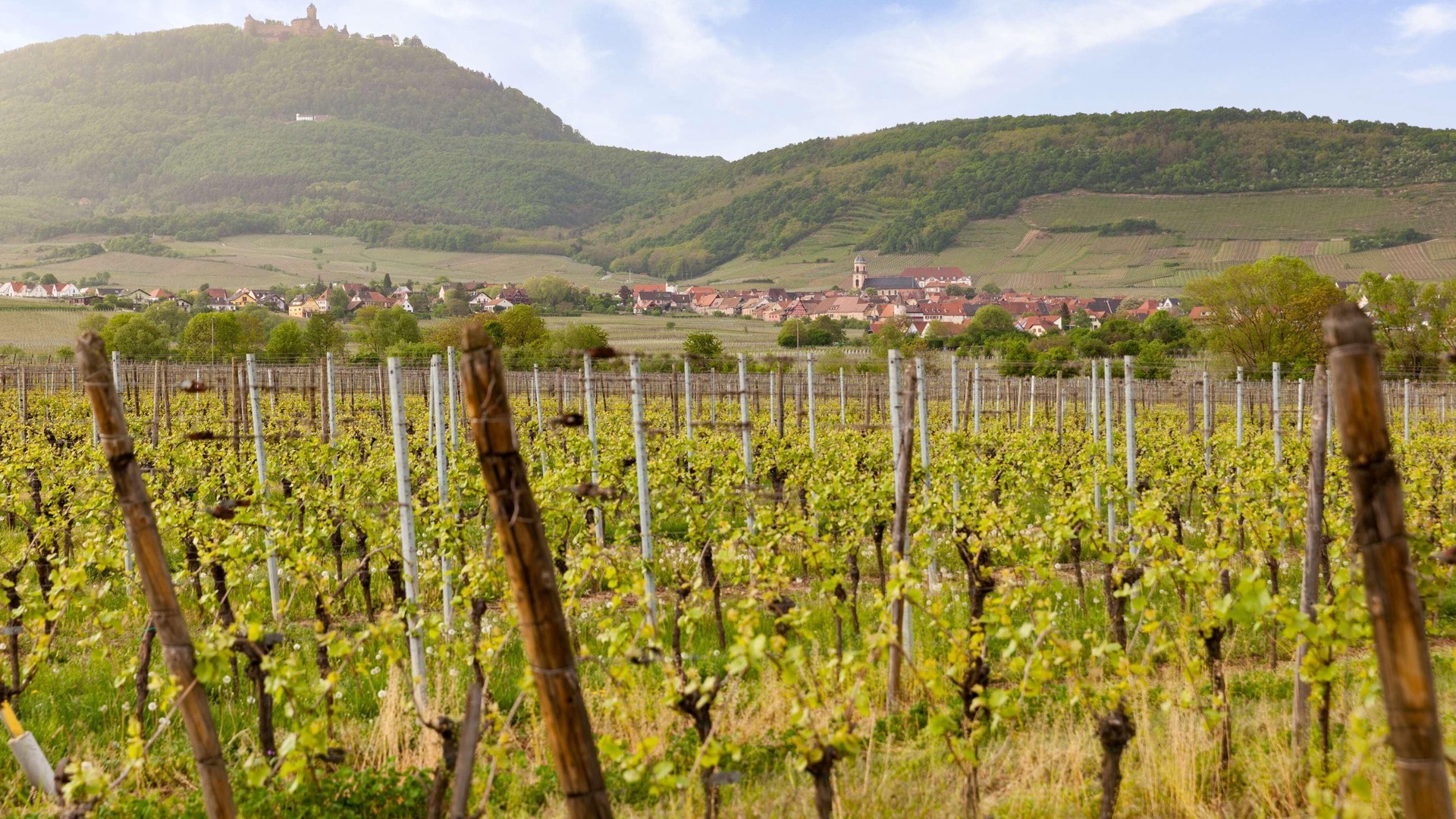 foto de Otras en Saint-Hippolyte