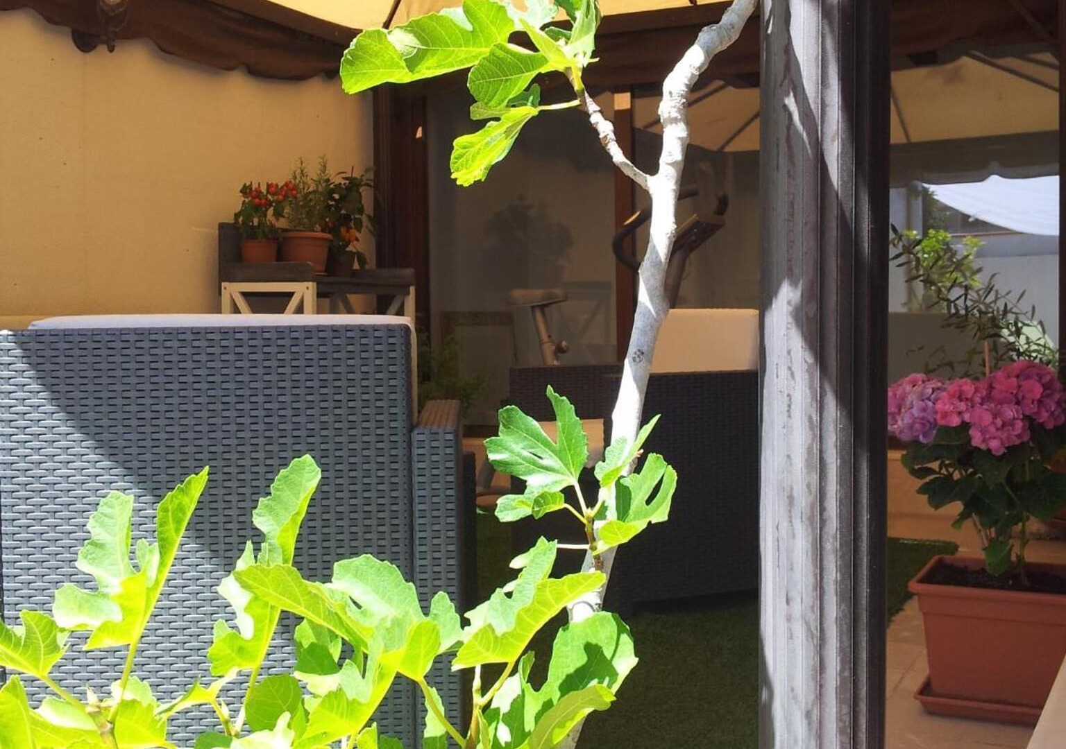 foto de Balcón de patio en Trani