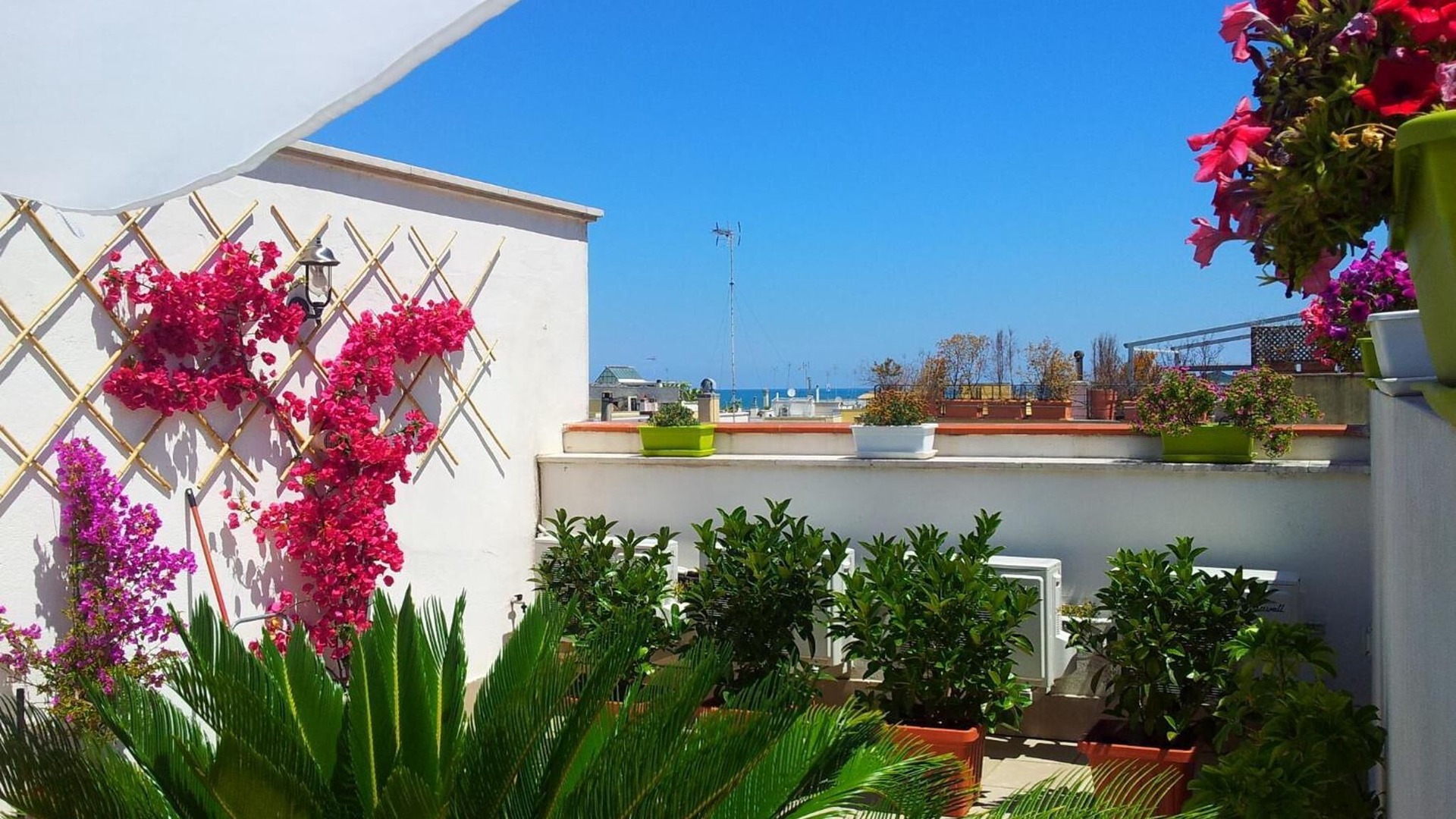 foto de Balcón de patio en Trani