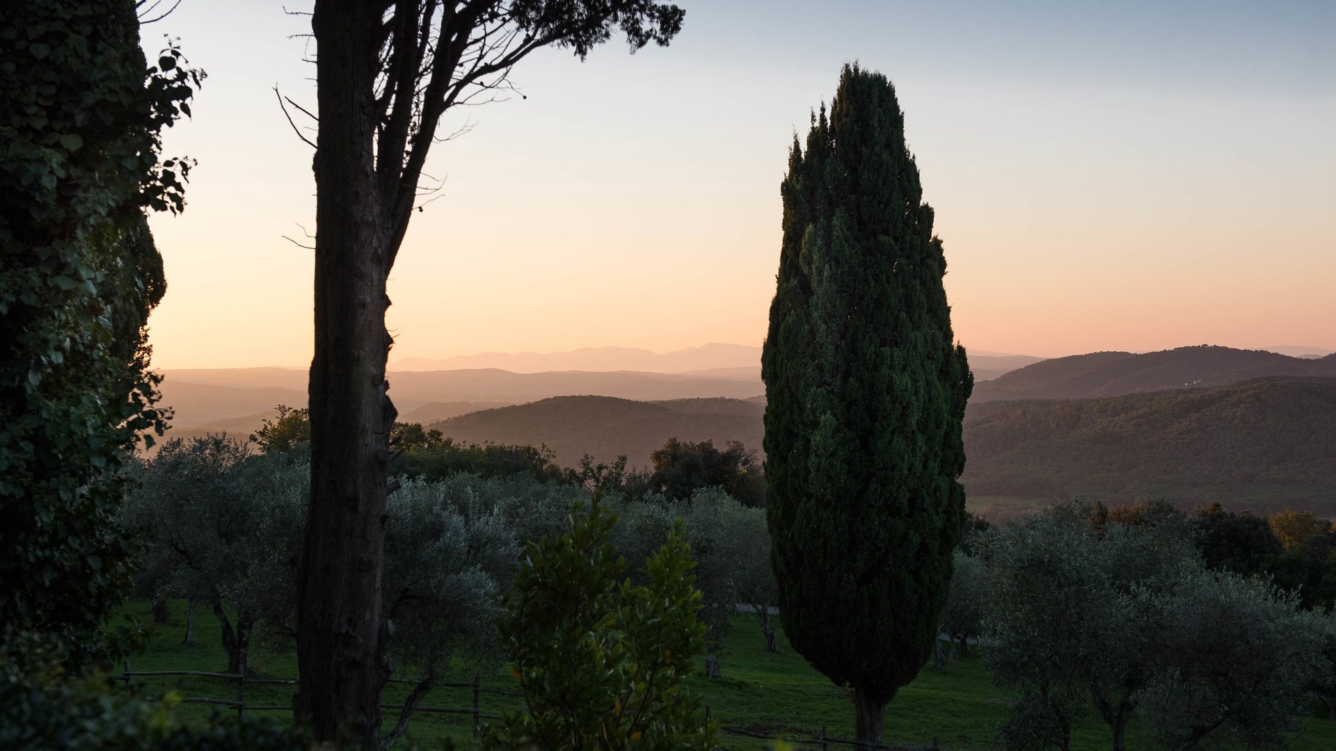 foto de Otras en Sassetta
