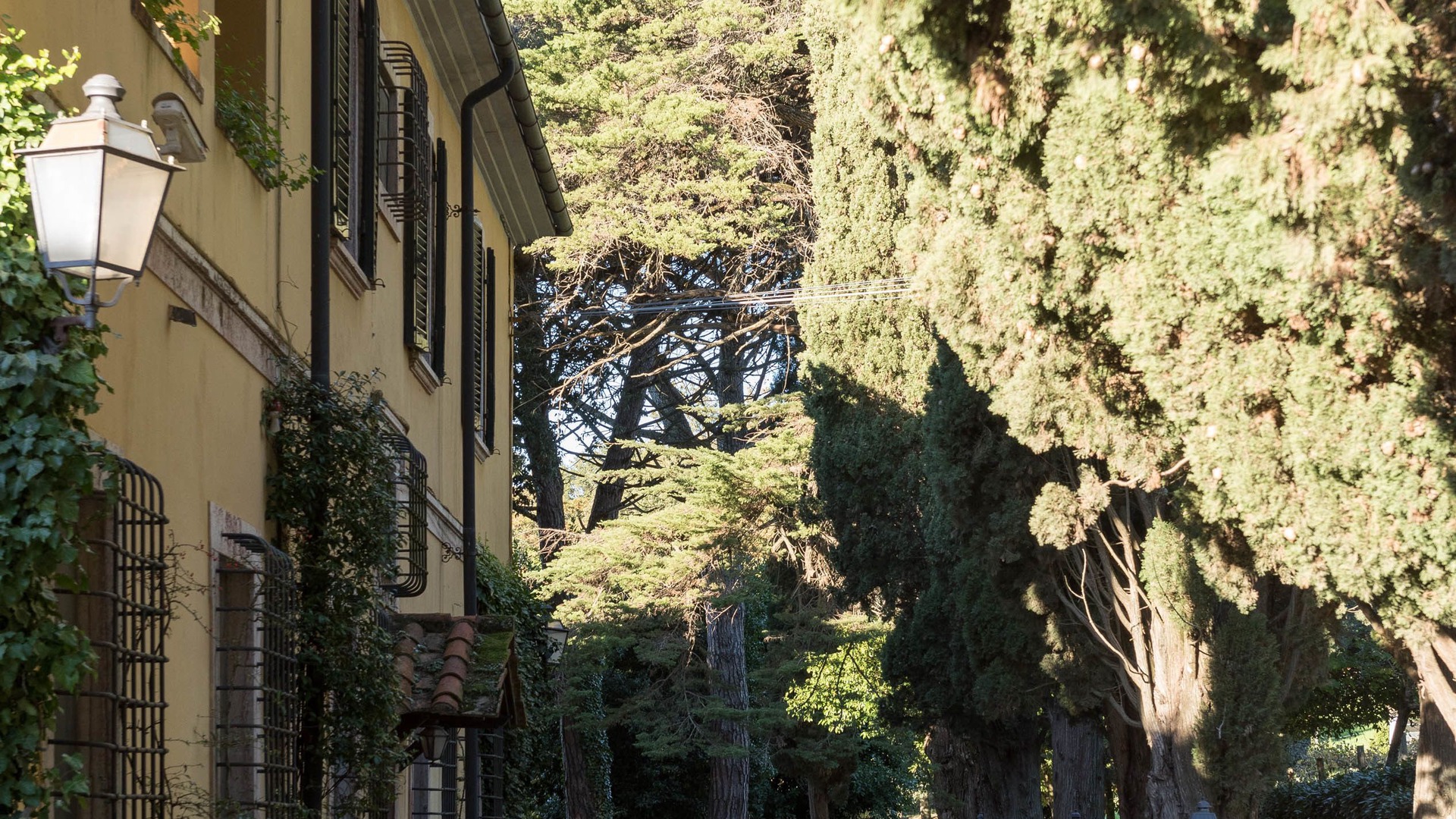 foto de Exterior en Sassetta