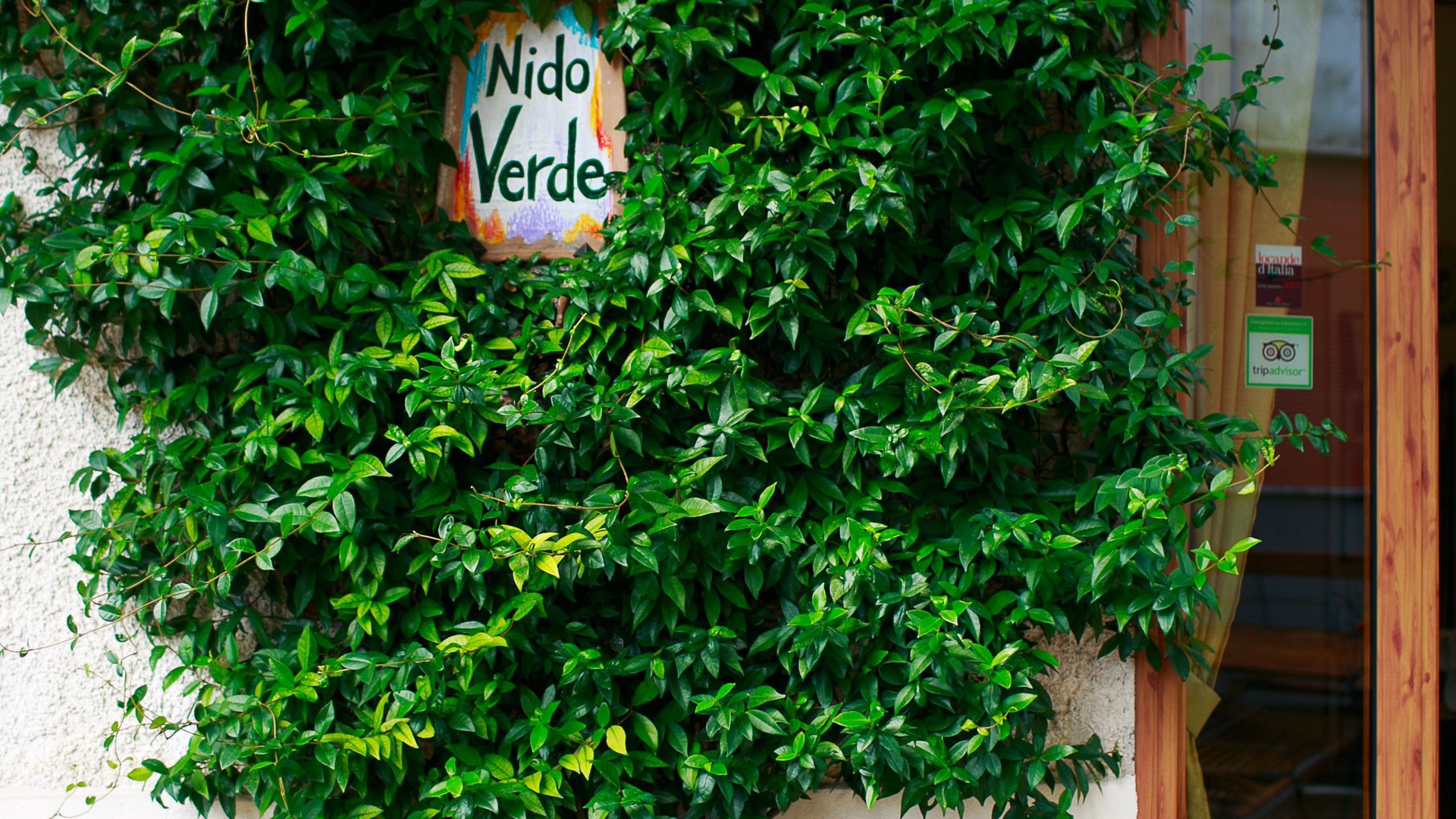 foto de Exterior en Bomerano
