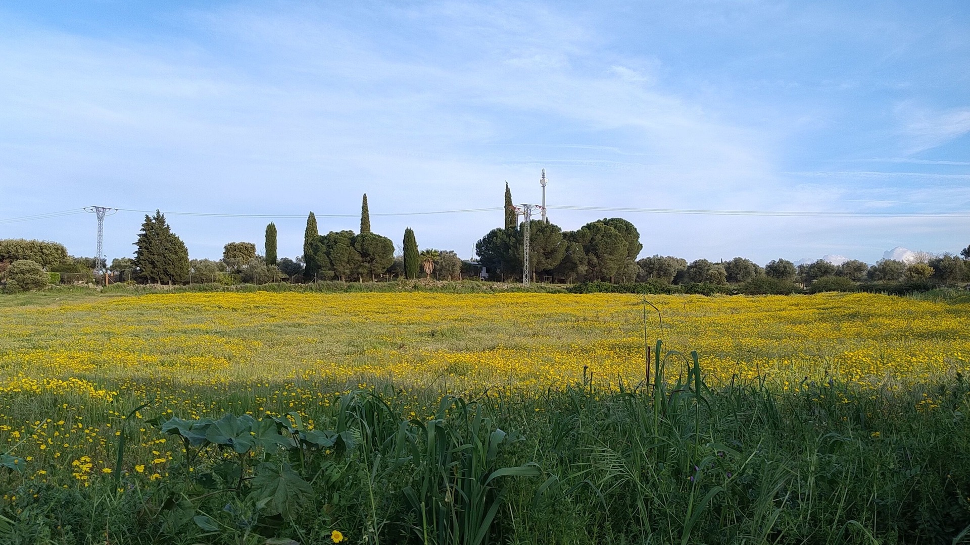 foto de Exterior en Herreruela de Oropesa