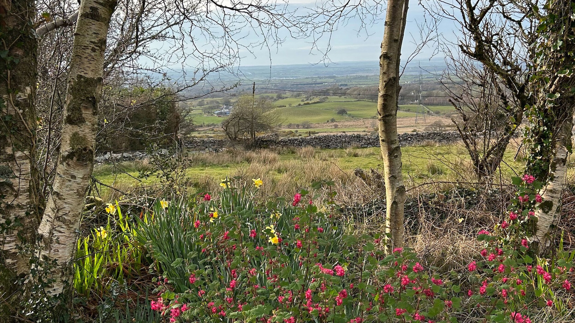 foto de Otras en Llanrug
