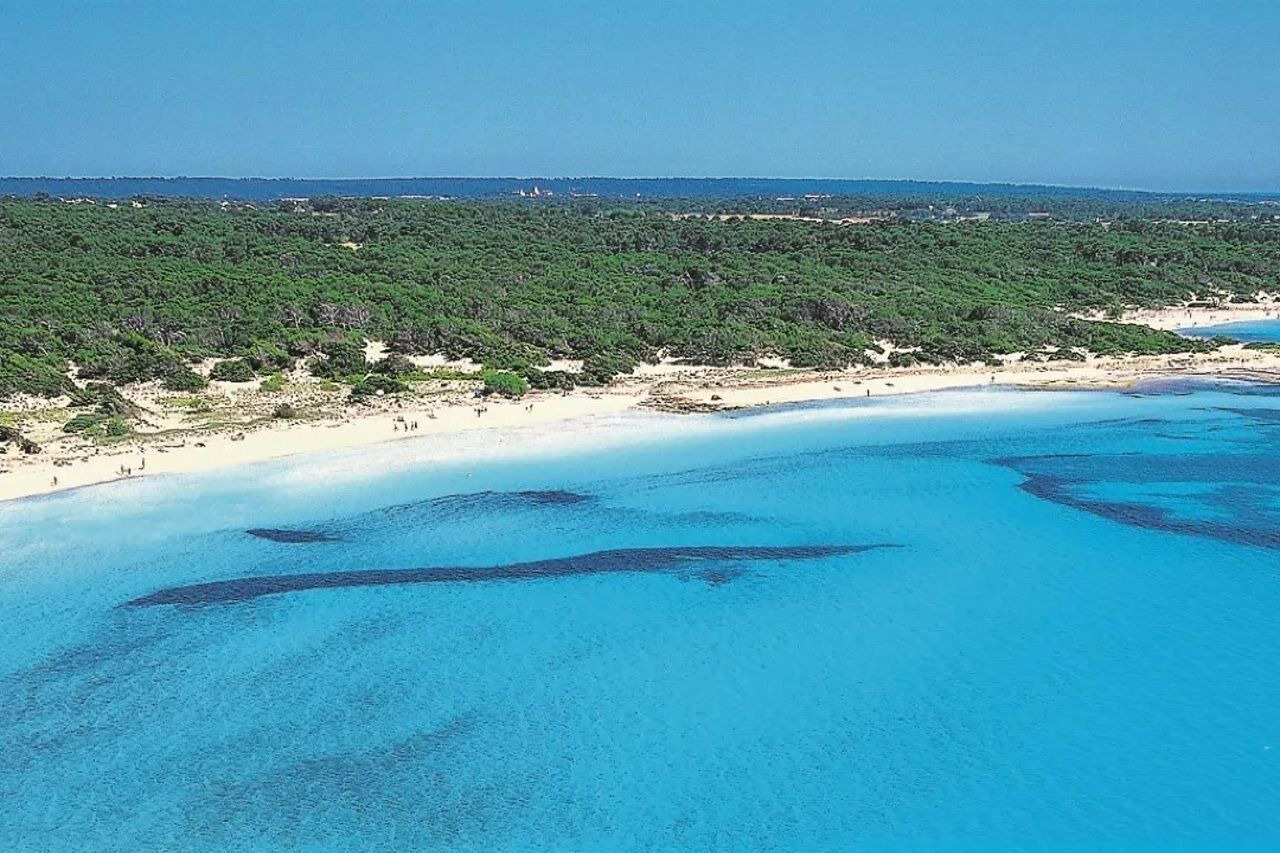 foto de Otras en Colonia Sant Jordi