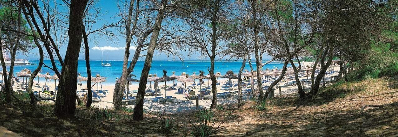 foto de Otras en Colonia Sant Jordi