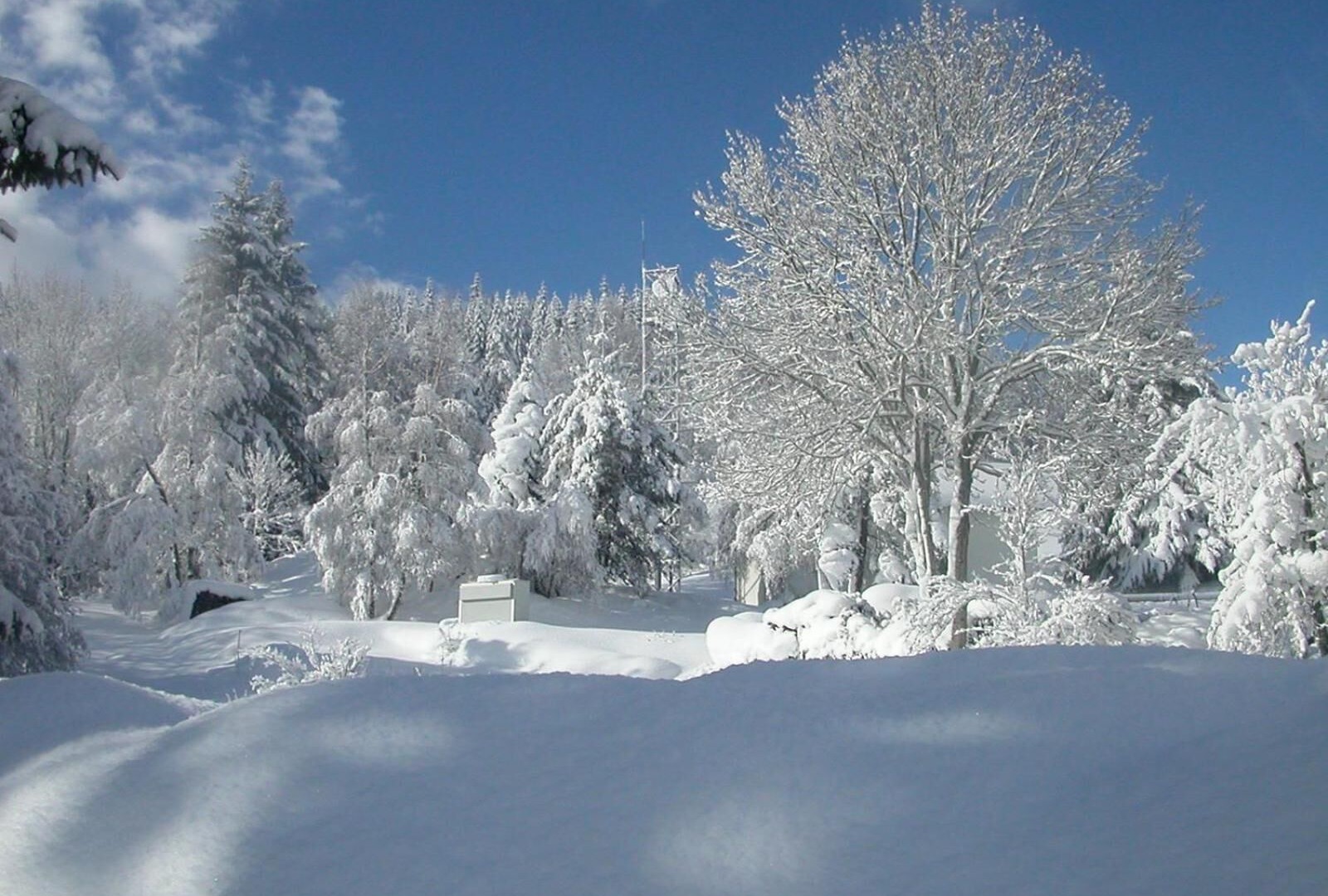foto de Otras en Saint-Cirgues-en-Montagne