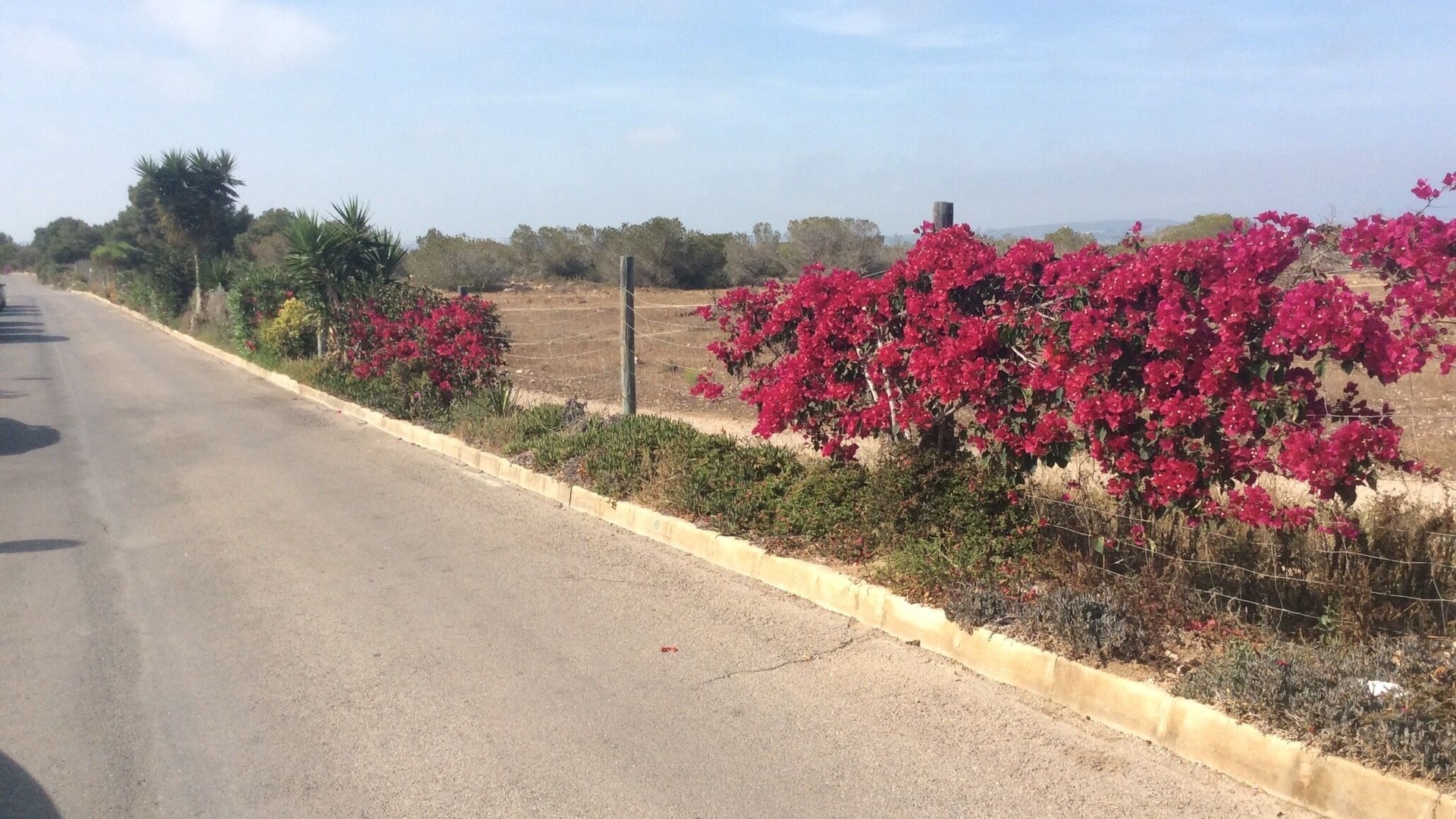 foto de Exterior en La Siesta