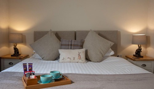 Habitación estándar con 1 cama doble o 2 individuales