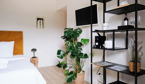 Habitación de lujo doble