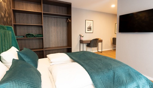 Habitación Deluxe doble de uso individual