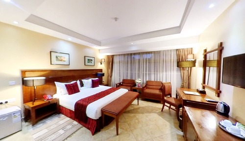 Business Room (1 Queen Bed)