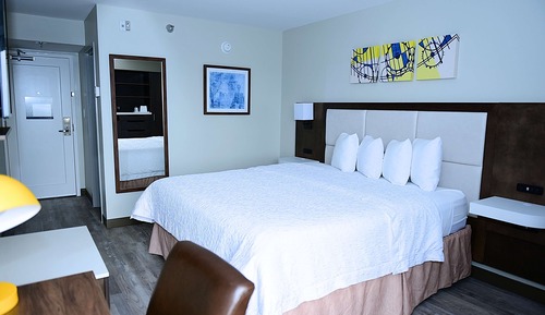 Habitación Deluxe, 1 cama de matrimonio grande, no fumadores (Walk-in Shower)