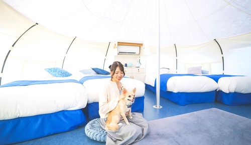 Habitación cuádruple Confort, 4 habitaciones, no fumadores (Dog Suite Tent, Pets allowed)