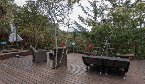 Habitación junior