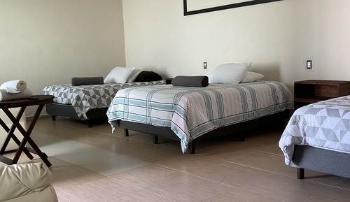 Habitación básica doble