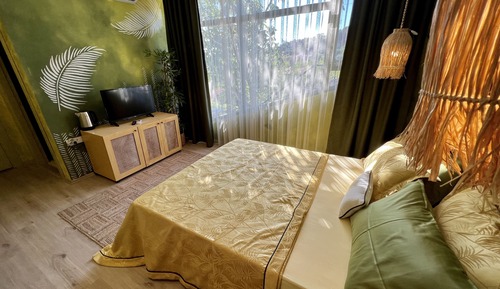 Green Deluxe Room