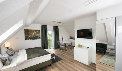 Suite estudio junior