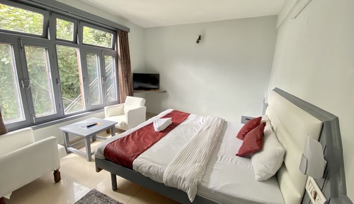 Habitación Deluxe doble