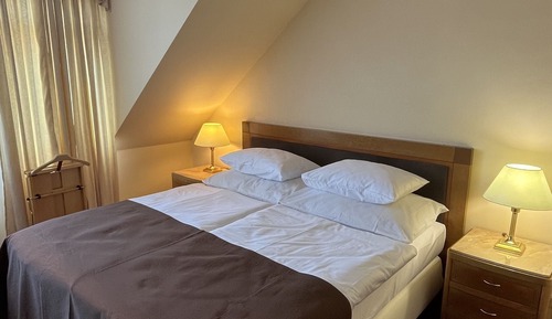 Habitación estándar con 1 cama doble o 2 individuales