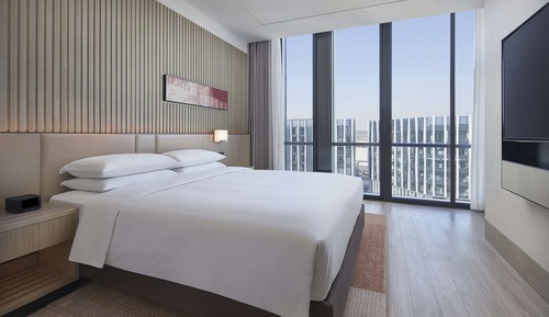 Suite, 1 cama de matrimonio grande con sofá cama