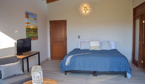 Habitación Confort, vistas al viñedo