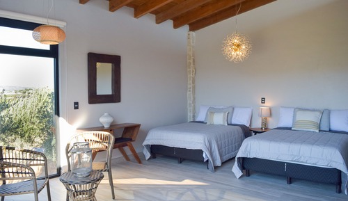 Habitación familiar doble, vistas al viñedo