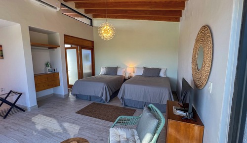 Habitación doble, vistas al viñedo